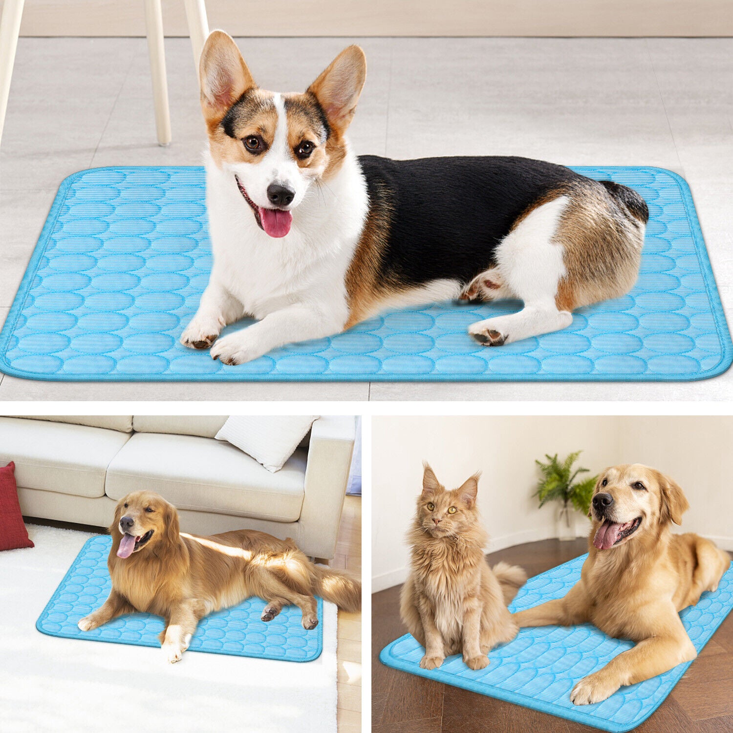 Best Pet Cooling Mat for Dogs and Cats