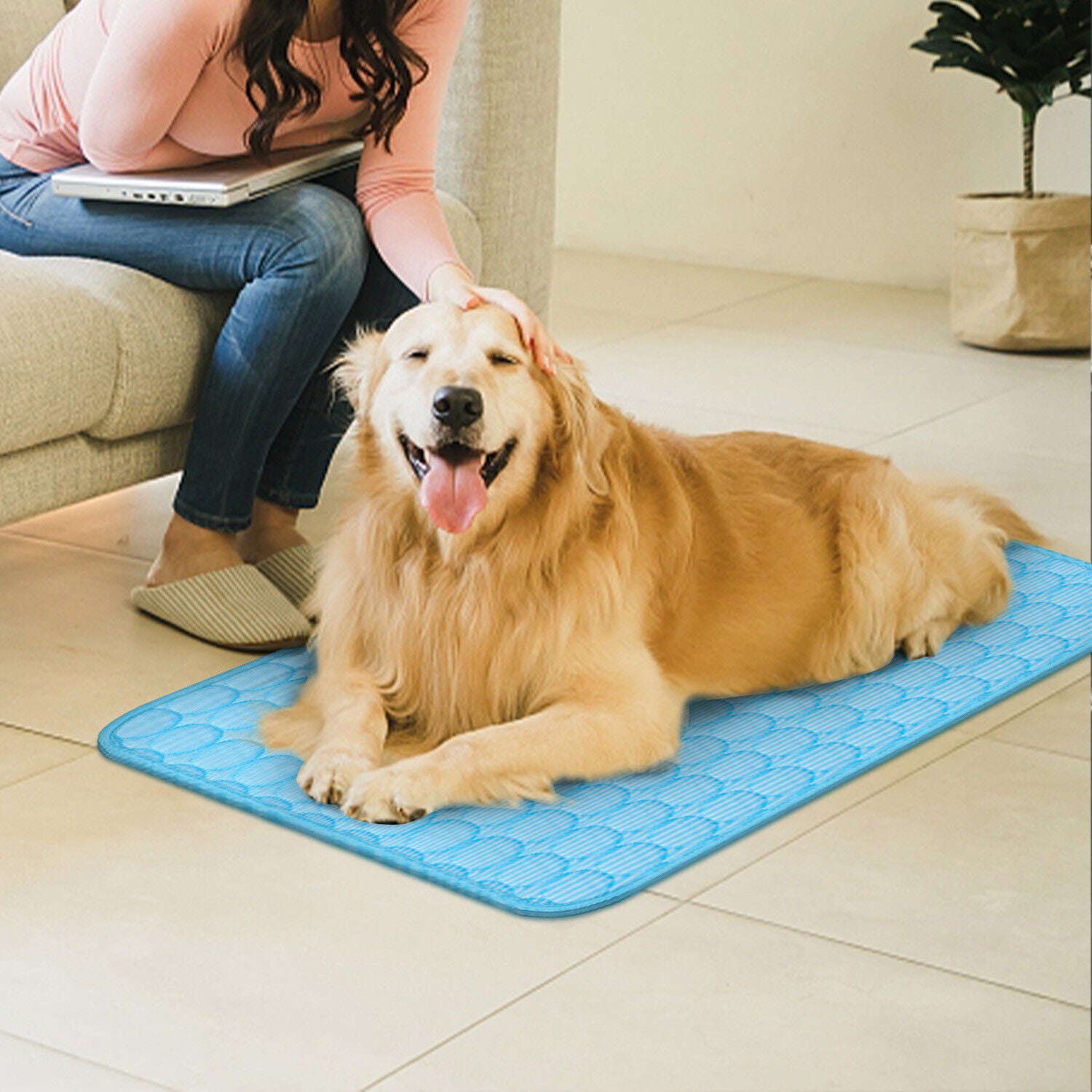 Pet Cooling Mats to beat the heat in summer